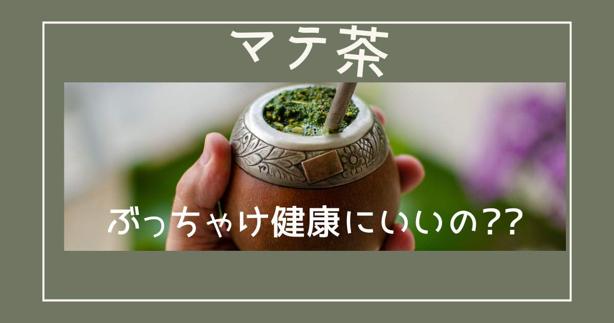 【アルゼンチンの必須アイテム】マテ茶 -体にいいのか調べてみた