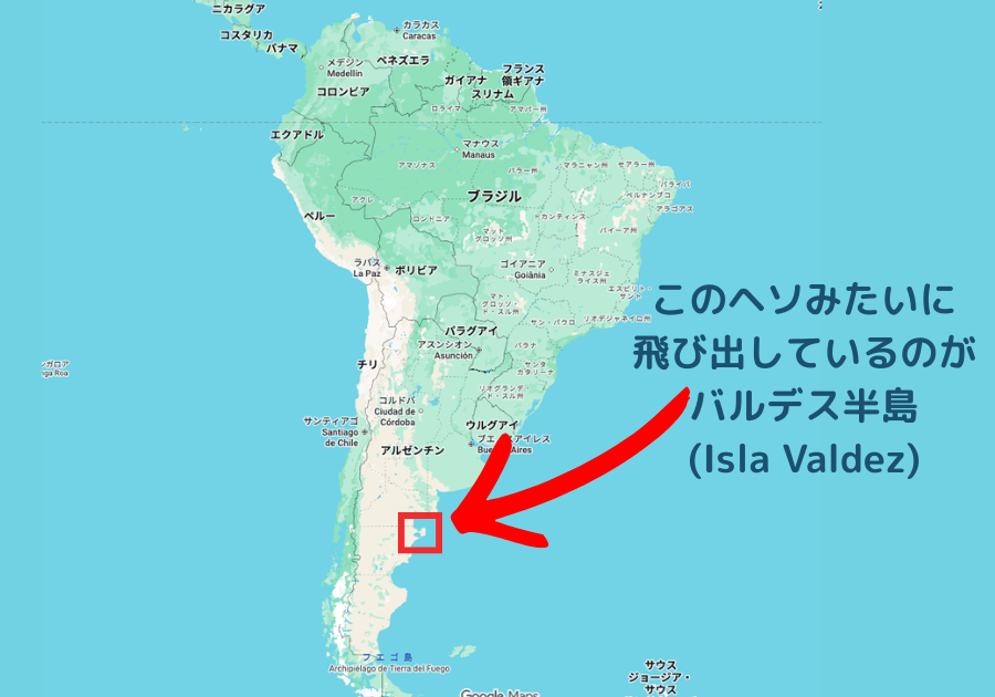 ここがバルデス半島